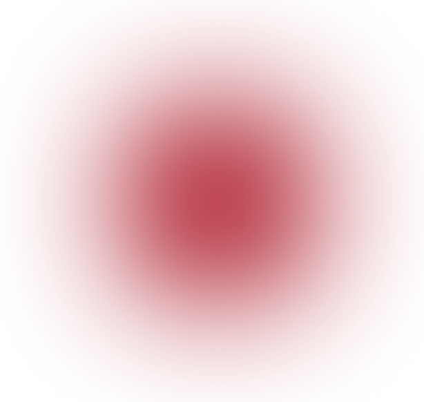 Financial Consultant